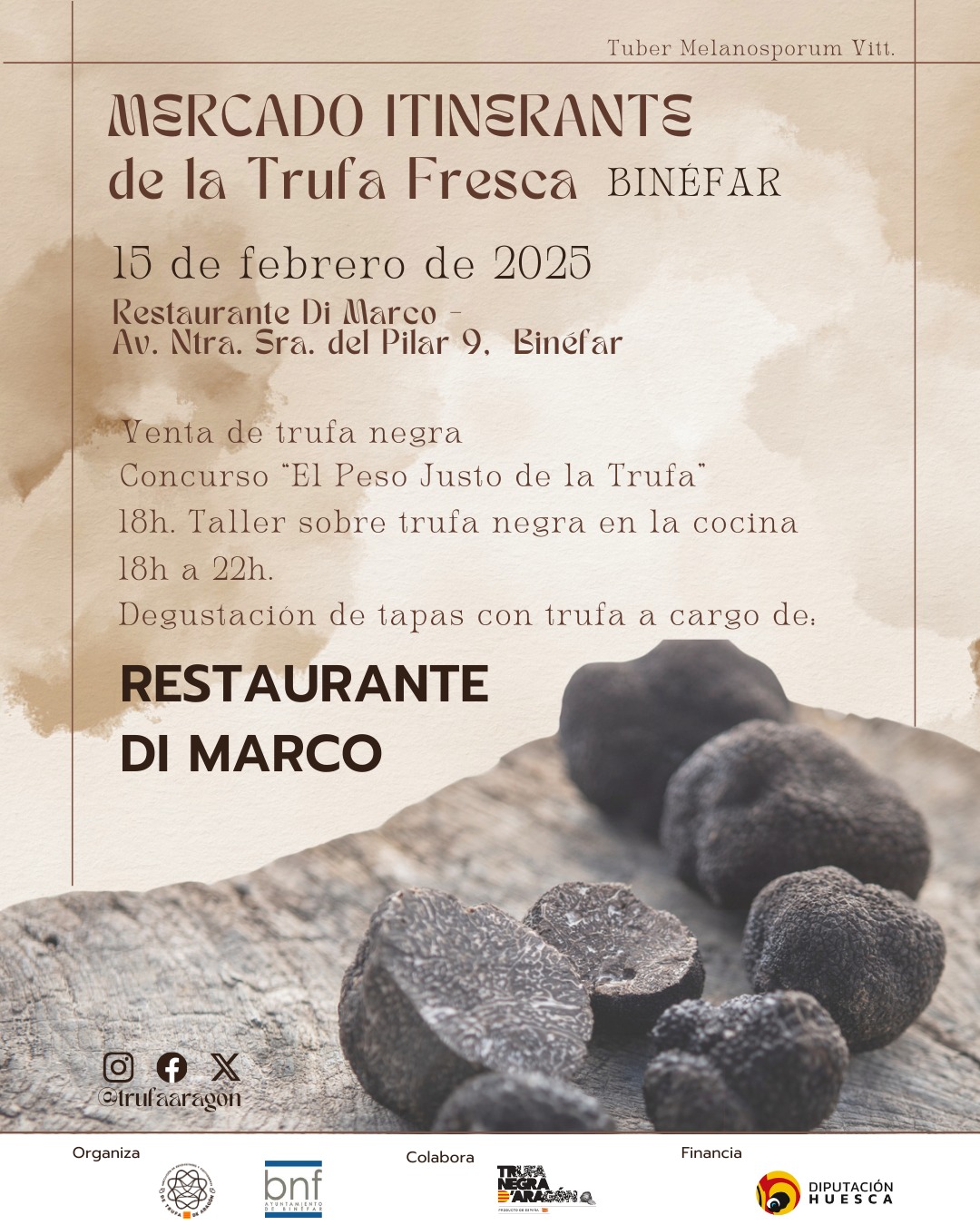 titulo evento