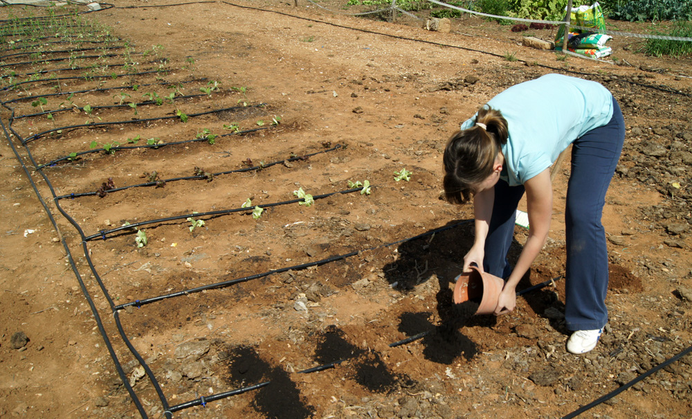 El Ayuntamiento crea huertos municipales para la enseñanza de métodos agroecológicos