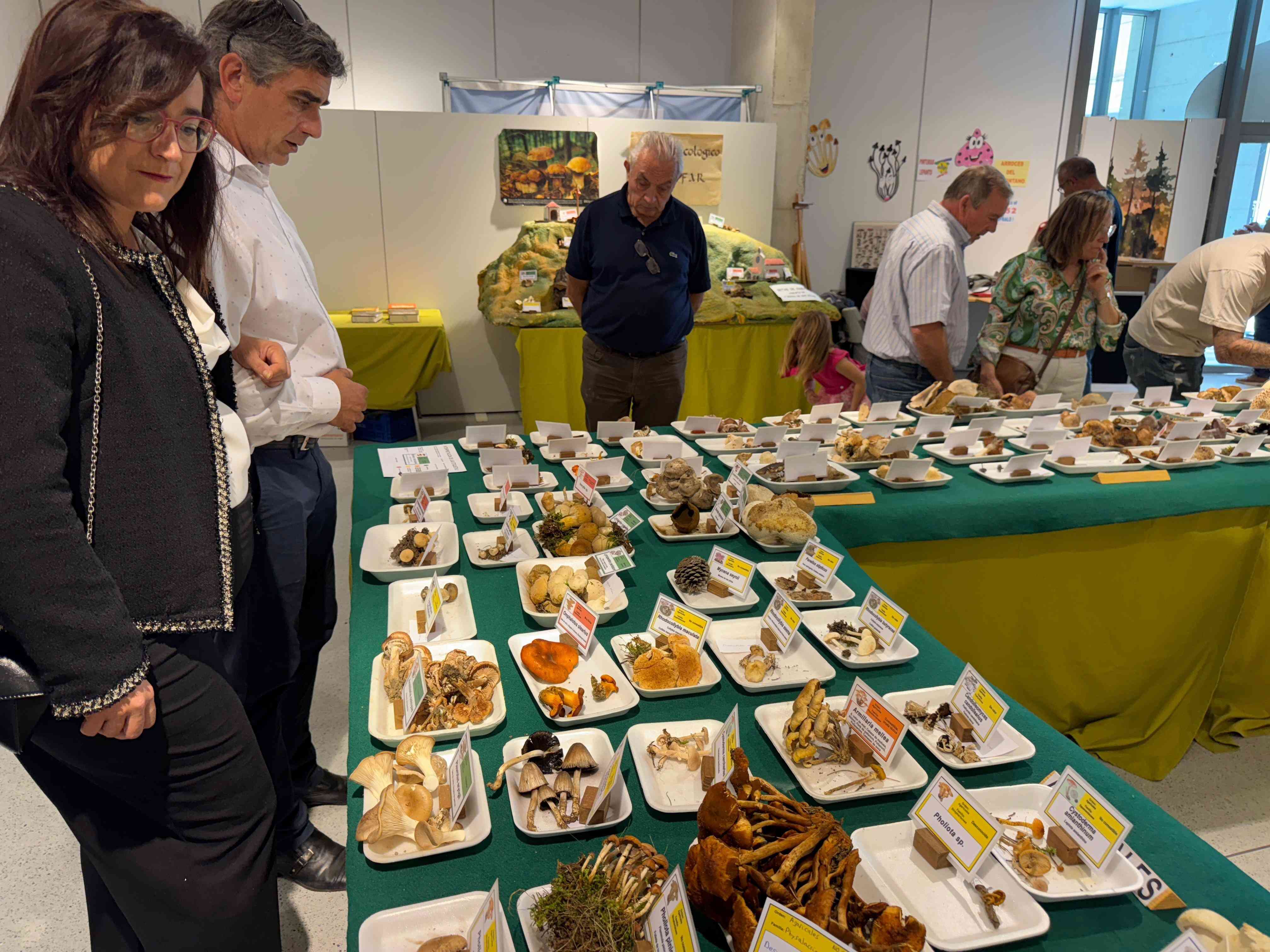 La XXIV Exposición Micológica de Binéfar reúne a cientos de vecinos atraídos por la afición por las setas