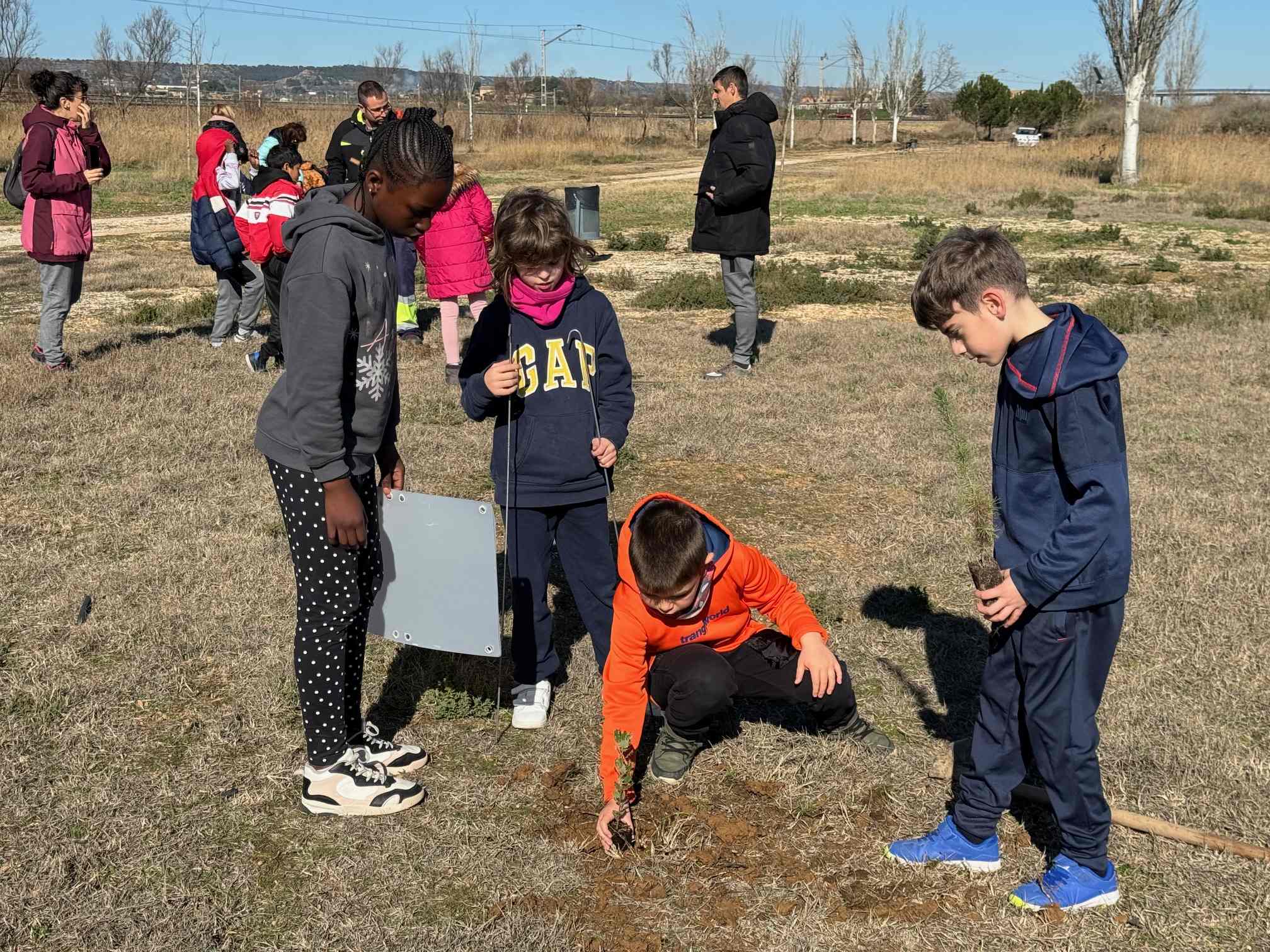 Los centros educativos reforestan Binéfar