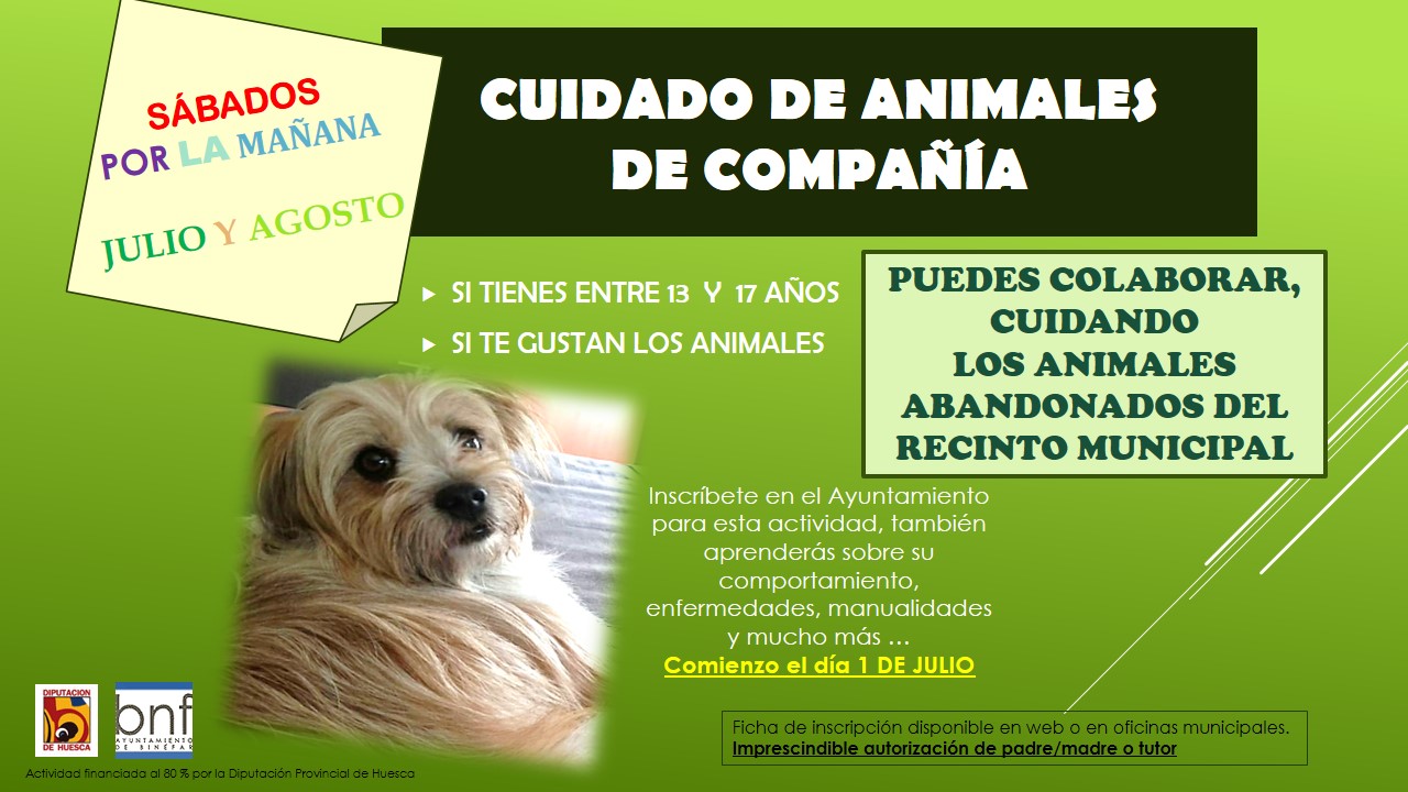 Nuevo cursillo de verano para el cuidado de animales de compañía