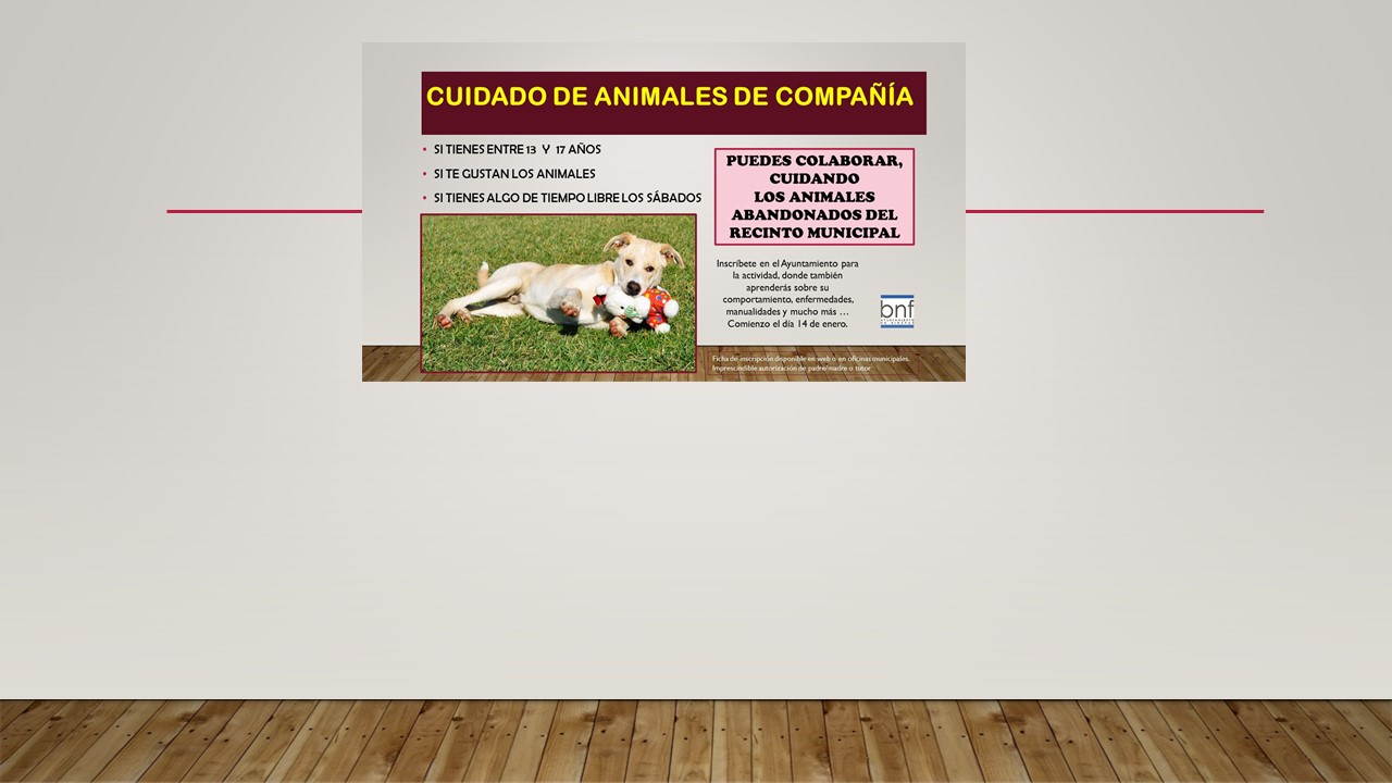 Colaboración para el cuidado de animales abandonados