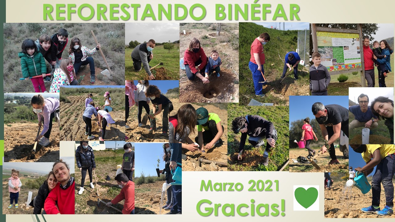 Más de 250 árboles plantados por voluntarios en los comunales de Binéfar