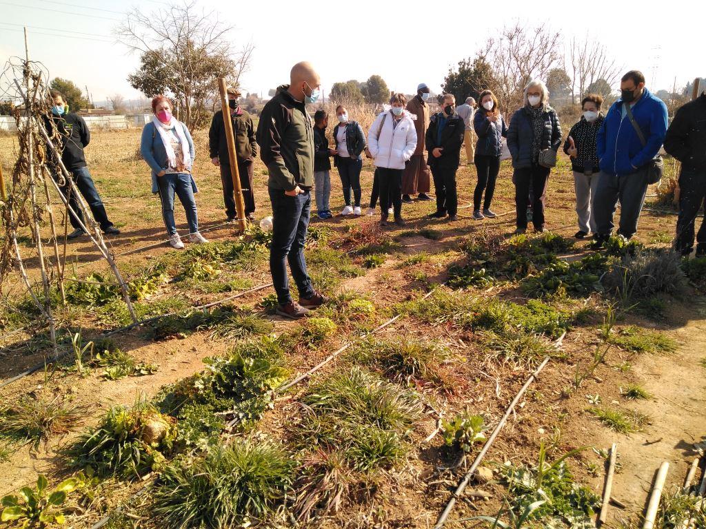 El Ayuntamiento enseña a los binefarenses cómo hacer un huerto ecológico