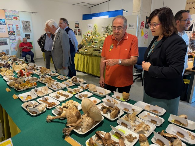 La XXIII Exposición Micológica reúne unas 320 setas