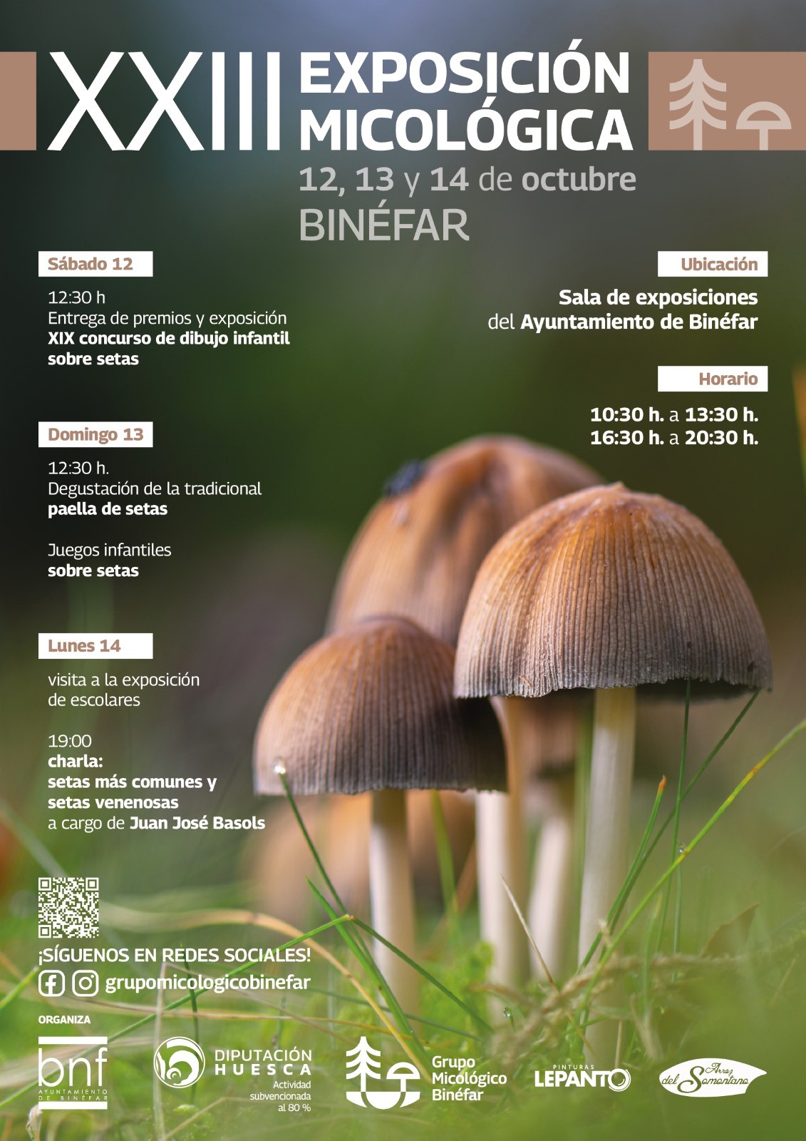 Binéfar celebra del 12 al 14 de octubre la XXIII Exposición Micológica