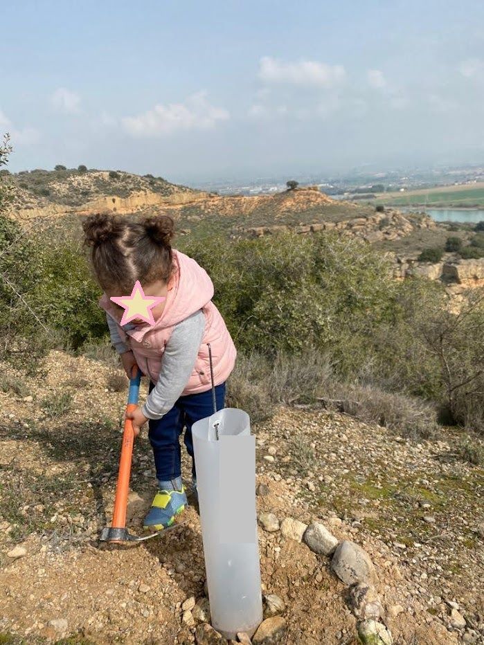 Medio Ambiente realizará el domingo 17 una plantación popular de árboles