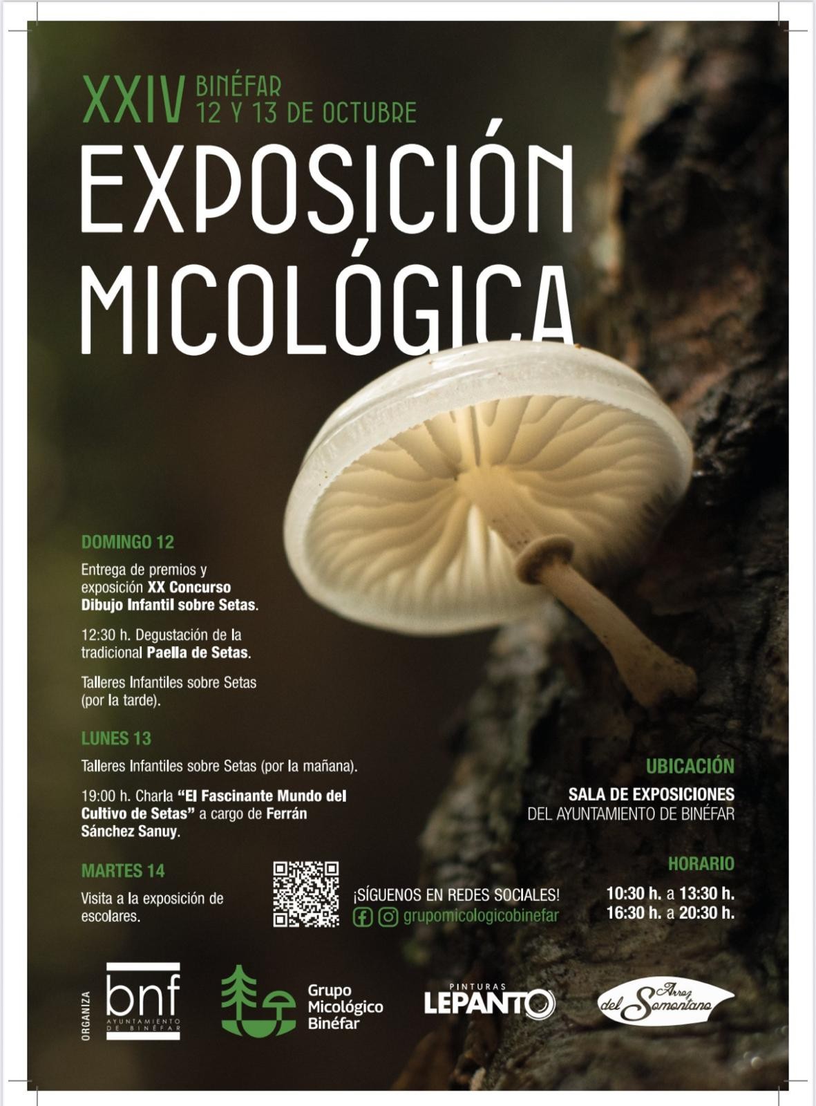 El mundo de las setas toma Binéfar del 12 al 14 de octubre con la XXIV Exposición Micológica