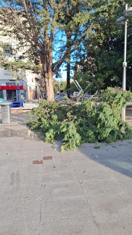 Afecciones por la tormenta de anoche en Binéfar