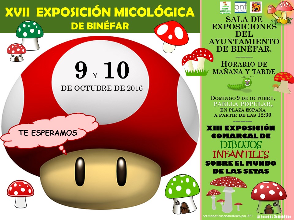 Éxito de la exposición micológica de Binéfar